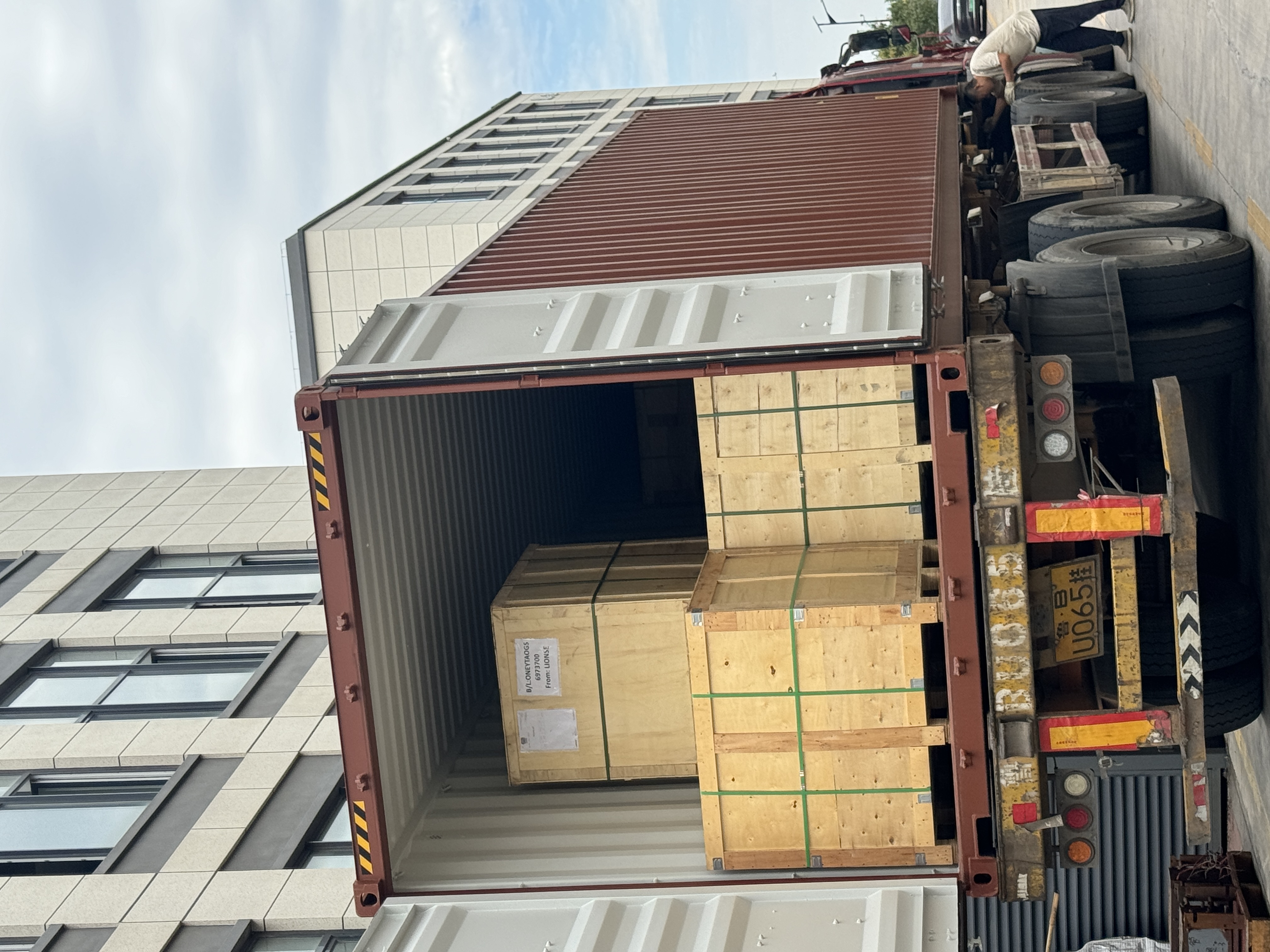 ライオンズの出荷に関する最新情報